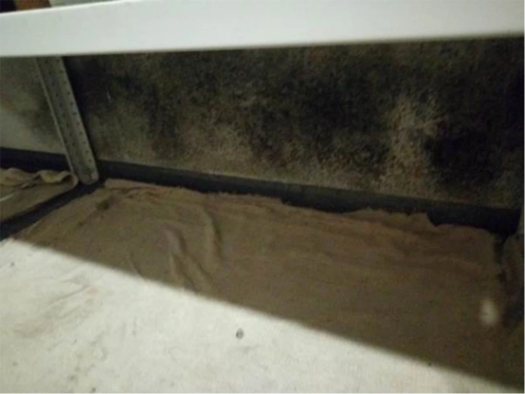 Следы биопоражения на стенах, вследствие повышенной влажности воздуха в подвале и недостаточной вентиляции подвального помещения