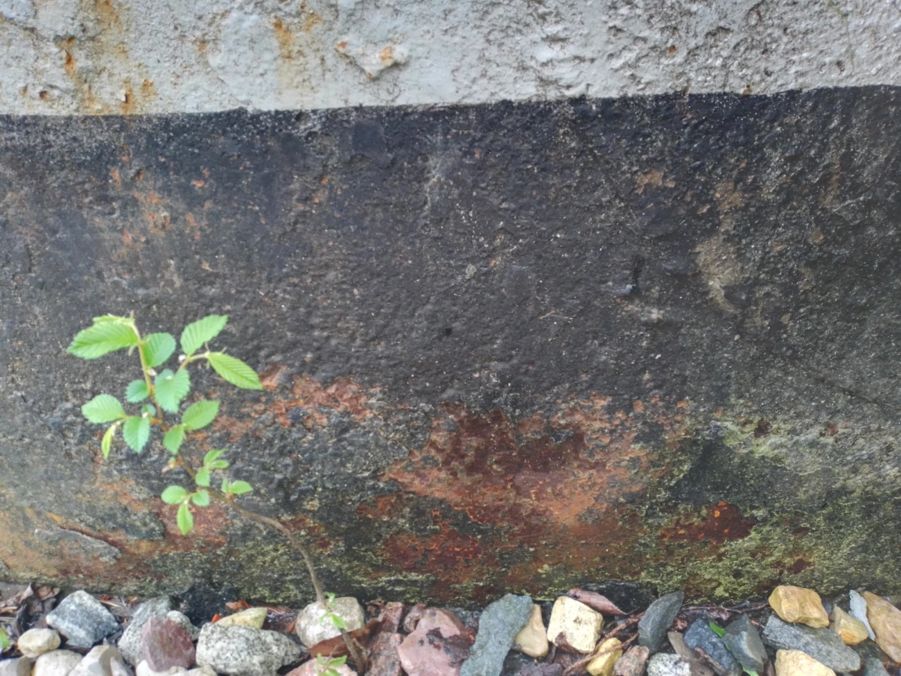 Коррозия на стенке резервуара с протечками воды и утратой 100% сечения в очаге коррозии (свищи)