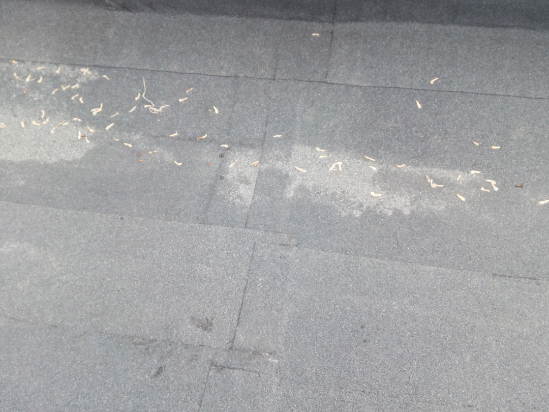 Обследование технического состояния кровли