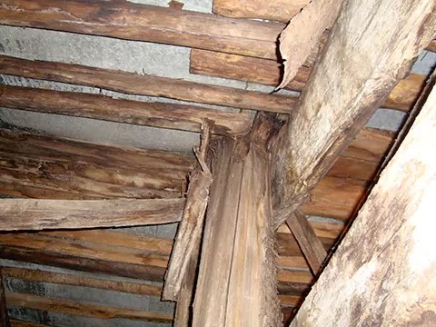 Методы обследования деревянных конструкций.