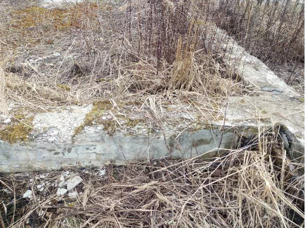 Шелушение и отслоение бетона