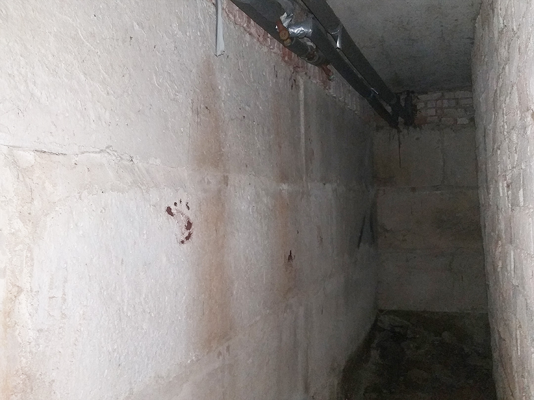 Обследование стен жилого дома на предмет определения причин появления ...