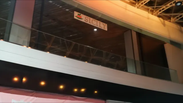 Обследование и строительная экспертиза тросовых систем навесной рекламы